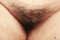 ATK hairy  in exotic and hairy