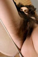 ATK hairy  in exotic and hairy