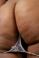 ATK hairy Marchea Set