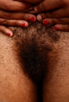 ATK hairy Marchea Set