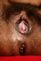 ATK hairy Marchea in exotic and hairy