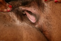 ATK hairy Marchea Set