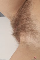 ATK hairy Margaret Set