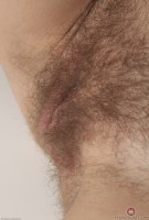 ATK hairy Margaret Set