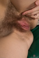 ATK hairy Margaret Set