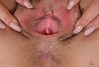 ATK hairy Violet Monroe Set