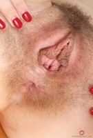 ATK hairy Violet Monroe Set