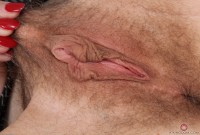 ATK hairy Violet Monroe Set