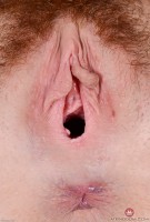 ATK hairy Megan Winters Set