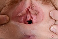 ATK hairy Megan Winters Set