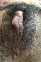 ATK hairy Megan Marx Set