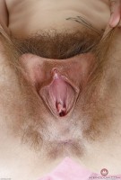 ATK hairy Mercy West Set