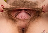 ATK hairy Mercy West Set