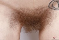 ATK hairy Mercy West Set