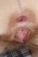 ATK hairy Mercy West Set