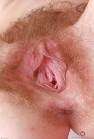 ATK hairy Mercy West Set