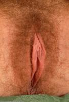 ATK hairy  in scary hairy