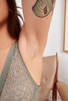 ATK hairy  in exotic and hairy