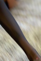 ATK hairy  in exotic and hairy