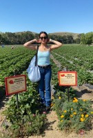 ATK hairy  in exotic and hairy