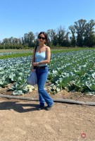 ATK hairy  in exotic and hairy