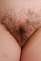 ATK hairy Pabsty Set