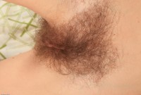ATK hairy  in scary hairy