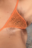 ATK hairy  in young and hairy