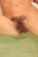 ATK hairy  in young and hairy