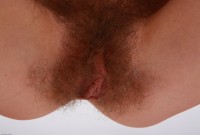 ATK hairy Mika A Set
