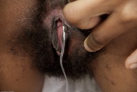 ATK hairy Minke Set