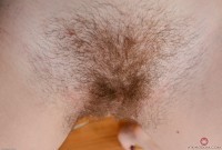 ATK hairy Misty Lovelace Set