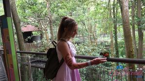 ATK Aunt Judys  in Virtual vacation