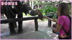 ATK Aunt Judys  in Virtual vacation