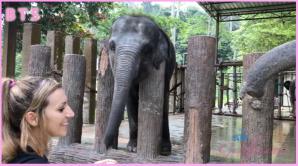 ATK Aunt Judys  in Virtual vacation