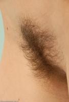 ATK hairy  in scary hairy