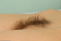 ATK hairy  in scary hairy