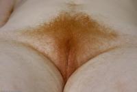 ATK hairy Morgan Set