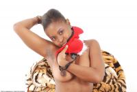 ATK hairy Muffie Set