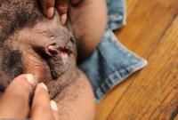 ATK hairy  in exotic and hairy