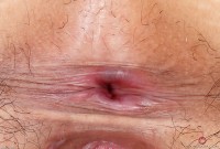 ATK hairy  in exotic and hairy