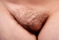 ATK hairy Nadia Set