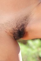 ATK hairy  in exotic and hairy