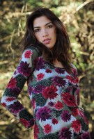 ATK hairy  in exotic and hairy