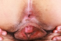 ATK hairy  in scary hairy