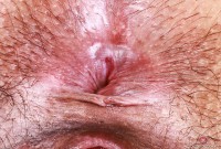 ATK hairy  in scary hairy