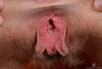 ATK hairy Nickey Huntsman Set