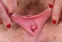 ATK hairy Nickey Huntsman Set