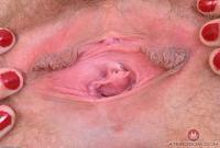 ATK hairy Nickey Huntsman Set