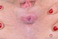 ATK hairy Nickey Huntsman Set